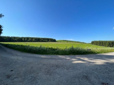 Apartment Apartment nähe Willingen und Winterberg - Environment photo 49