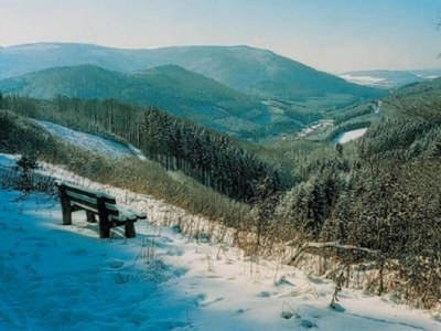 Apartment Apartment nähe Willingen und Winterberg - Environment photo 51