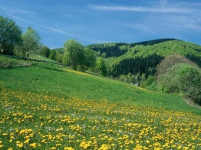 Apartment Apartment nähe Willingen und Winterberg - Environment photo 54
