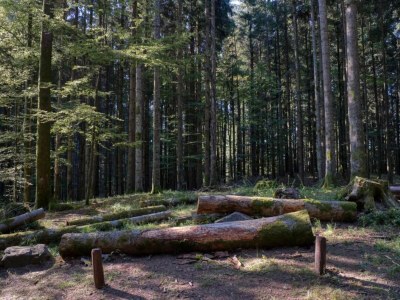 Holiday house Badia Prataglia, ein Paradies für Abenteurer - Environment photo 31