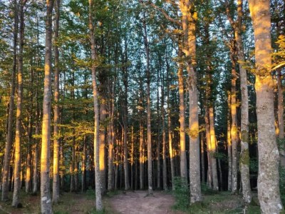 Holiday house Badia Prataglia, ein Paradies für Abenteurer - Environment photo 39