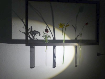 Holiday apartment Alte Schmiede - Features photo 10