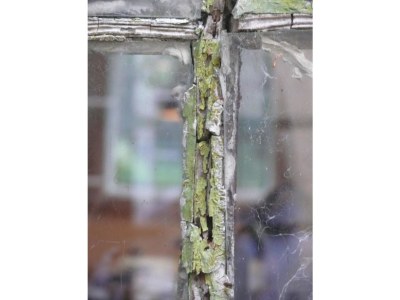 Holiday apartment Alte Schmiede - Environment photo 14