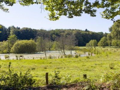 Holiday apartment Alte Schmiede - Environment photo 17