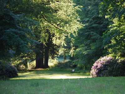 Holiday apartment Alte Schmiede - Environment photo 20