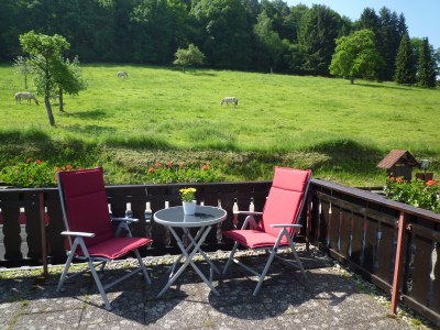 Holiday apartment House "Fernblick" (good view) Flat 2 - Features photo 14