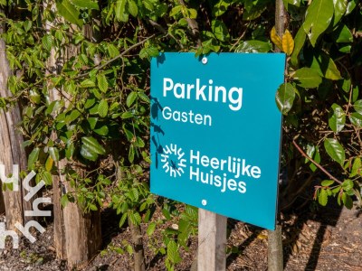 Holiday house Domburg - ZE1376 - Environment photo 32