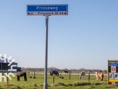 Holiday house Domburg - ZE1376 - Environment photo 40