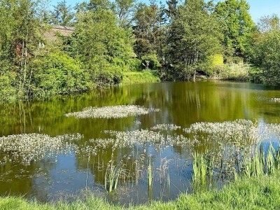 Holiday house Einzigartiges Refugium in Vejby  By Traum - Outdoor photo 32