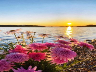 Apartment Apartment in Meeresnähe, nur wenige Gehminuten vom Zentrum entfernt - Environment photo 19