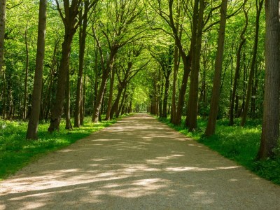 Holiday house Bungalow near Dutch Beach with Garden - Environment photo 28