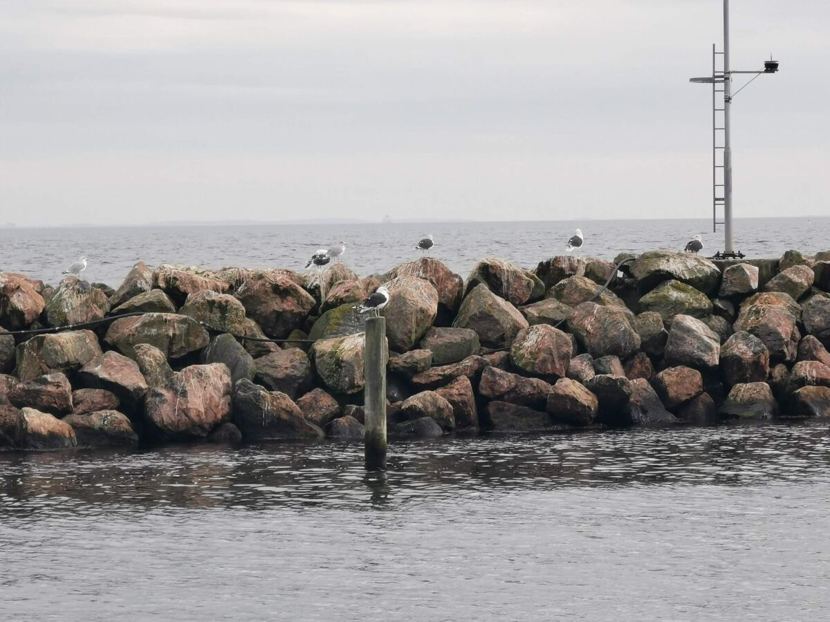 Holiday house 4 Personen Ferienhaus in Rudkøbing - Outdoor photo 5