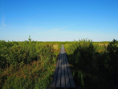 Holiday house 4 Personen Ferienhaus in Rudkøbing - Outdoor photo 25