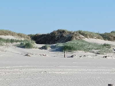 Holiday apartment Schmidt  Pohns 2 Gbr - Environment photo 20