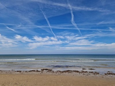 Holiday house 4 Sterne Ferienhaus in Blokhus-By Traum - Outdoor photo 33