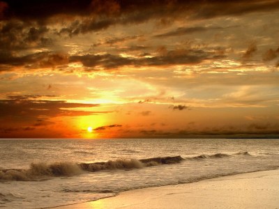 Holiday house La Dune - Environment photo 10