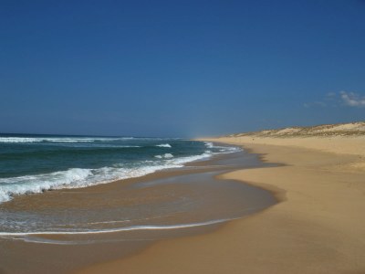 Holiday house La Dune - Environment photo 14