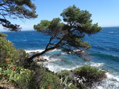 Holiday house No title - Environment photo 20