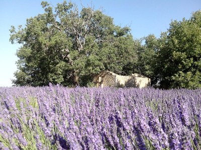 Holiday house No title - Environment photo 21