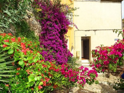 Holiday house No title - Environment photo 22