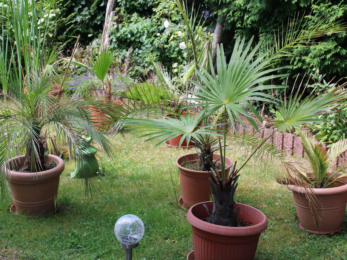 Holiday apartment Glock - Outdoor photo 5
