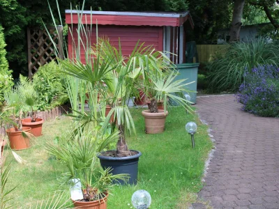 Holiday apartment Glock - Outdoor photo 6