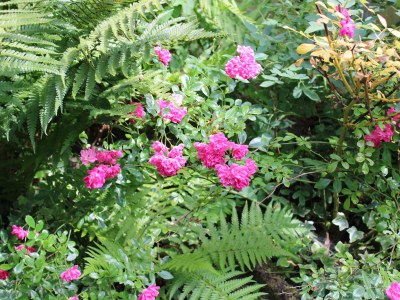 Holiday apartment Glock - Outdoor photo 7