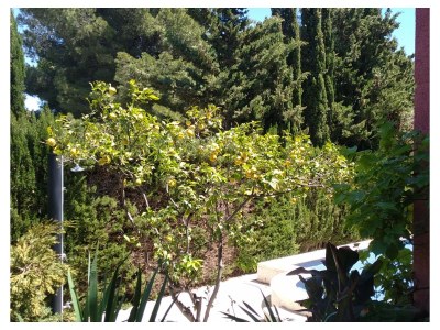 Chalet manz - Outdoor photo 4