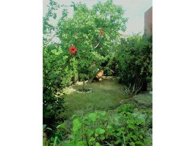 Chalet manz - Outdoor photo 5