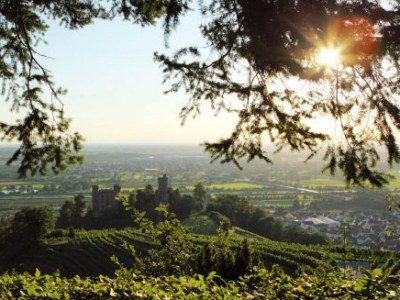 Holiday apartment Vogt - Environment photo 16