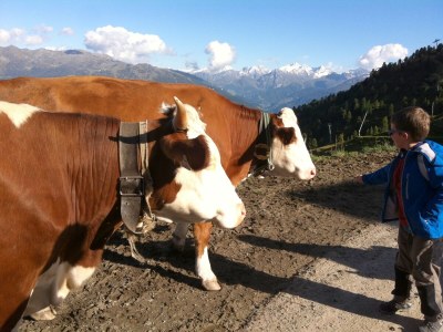 Apartment at Anna - Environment photo 34