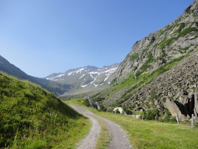 Apartment at Anna - Environment photo 35