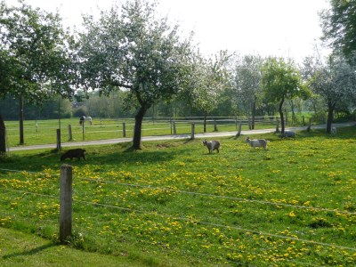 Holiday apartment "Tenne" - Hof Moddenborg - Outdoor photo 3