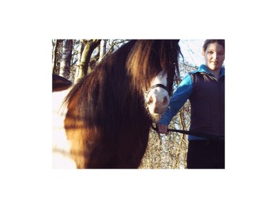 Holiday apartment "Tenne" - Hof Moddenborg - Environment photo 10