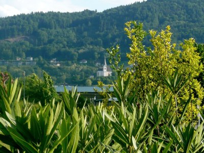 Holiday apartment Carantania 2 - Environment photo 19