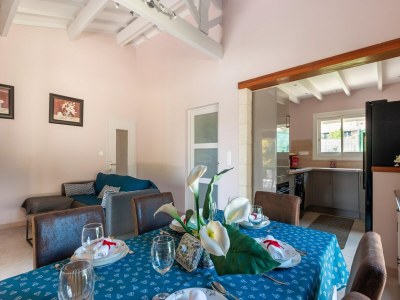 Holiday house Villa in Cannes with Heated Pool & Boat Trips - Features photo 16