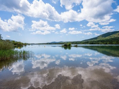 Holiday house Villa in Cannes with Heated Pool & Boat Trips - Environment photo 32