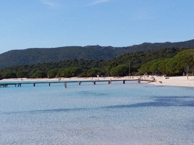 Holiday house Corsevilla 83 Santa Giulia - Environment photo 20