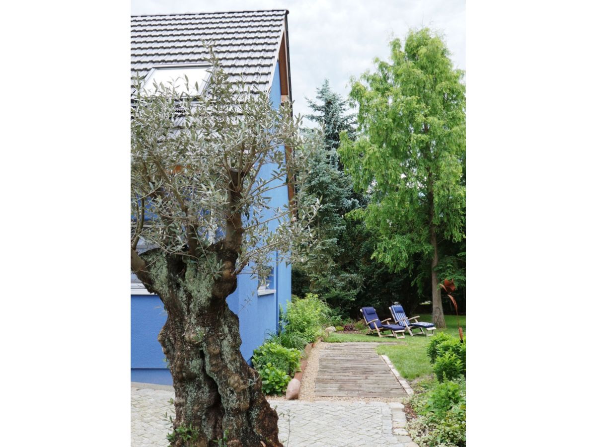 Apartment BluGarden Atelier - Outdoor photo 3