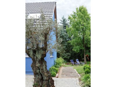 Apartment BluGarden Atelier - Outdoor photo 3