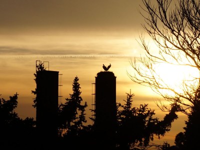 Apartment BluGarden Atelier - Environment photo 14