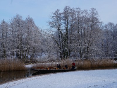 Apartment BluGarden Atelier - Environment photo 15