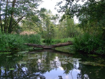 Apartment BluGarden Atelier - Environment photo 18