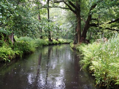 Apartment BluGarden Atelier - Environment photo 20