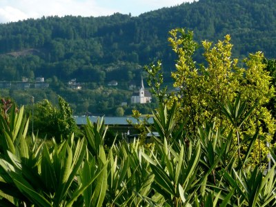 Holiday apartment Carantania 3 - Outdoor photo 7