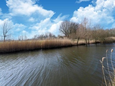 Holiday house Ferienhaus in Simonshaven am Seeufer - Environment photo 28