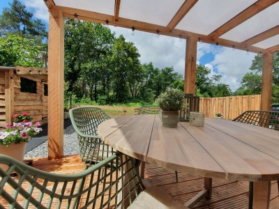 Holiday house Waldhütte nahe Veluwe Wald Hattemerbroek - Outdoor photo 9