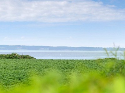 Holiday house 5 Sterne Ferienhaus in Vinderup-By Traum - Outdoor photo 7