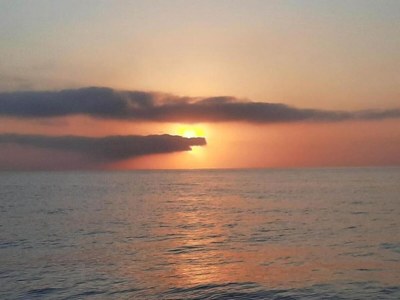 Apartment Apartment near Beach with Serene Garden - Environment photo 23