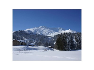 Holiday apartment Triangel A Mall in Parpan - Holiday apartment